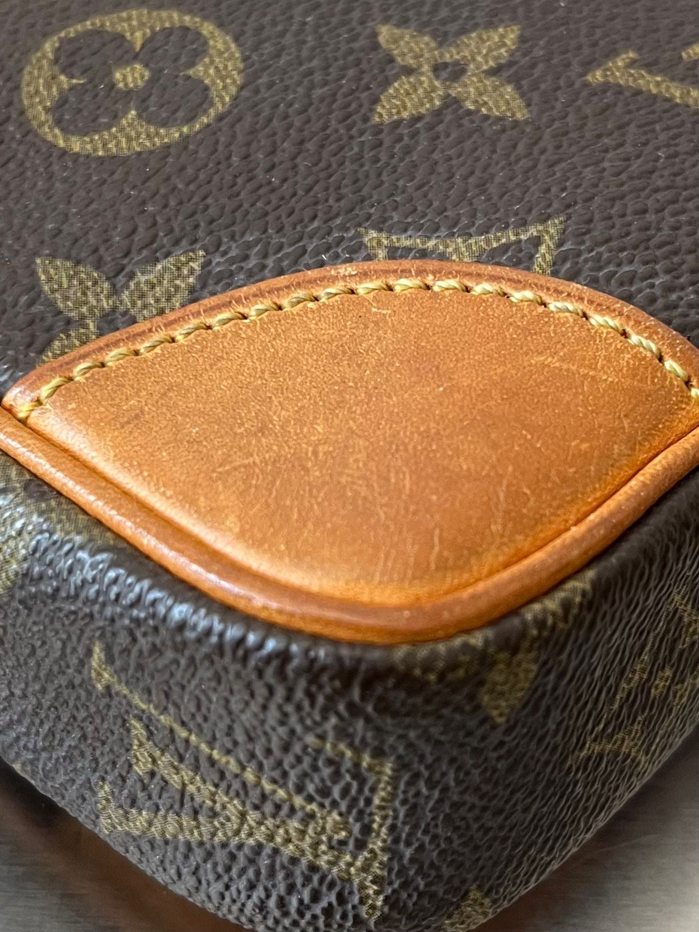 Louis Vuitton Marly Dragonne PM