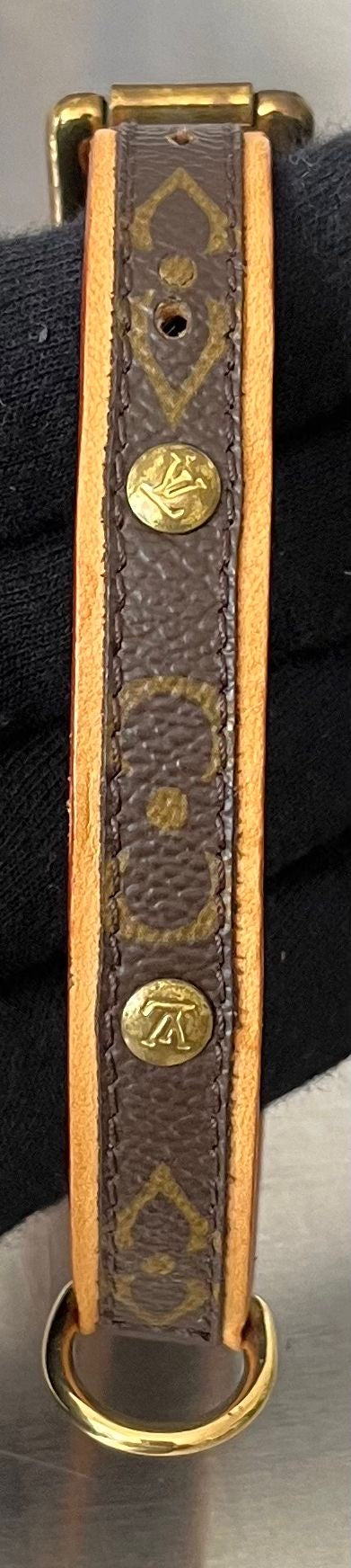 Louis Vuitton Baxter MM Leine mit Halsband