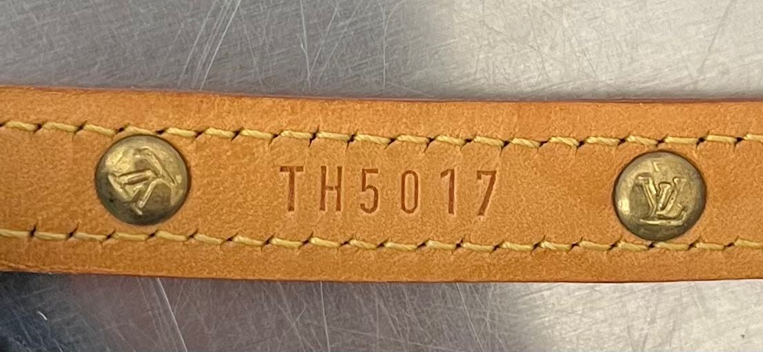 Louis Vuitton Baxter MM Leine mit Halsband