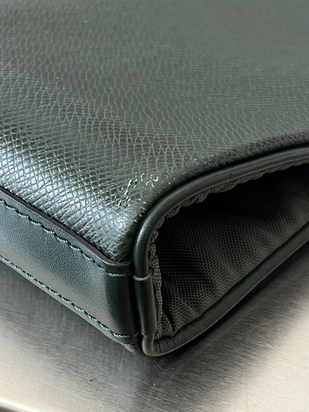 Louis Vuitton Taiga Bering Kleiderhülle