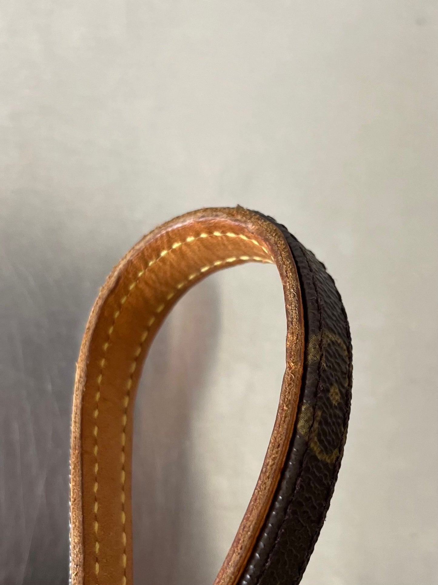 Louis Vuitton Baxter MM Leine