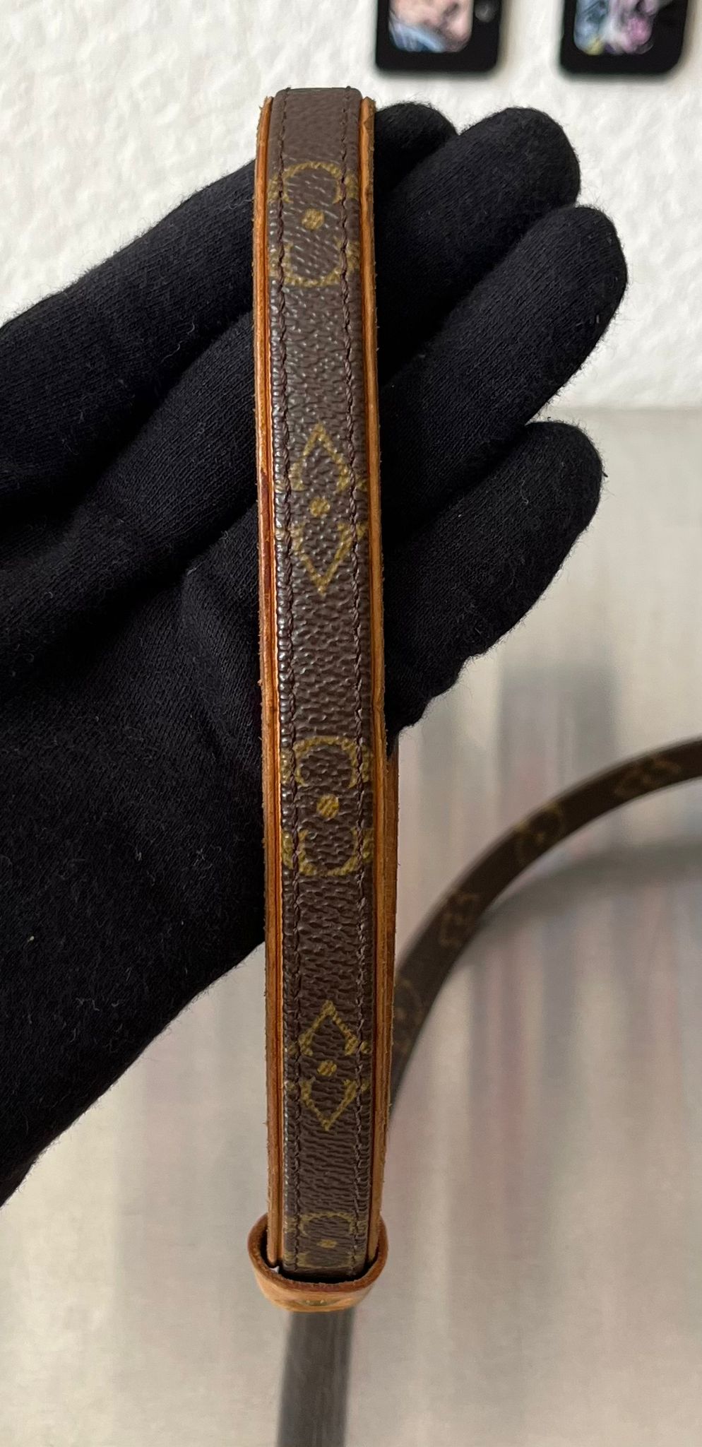 Louis Vuitton Baxter MM Leine