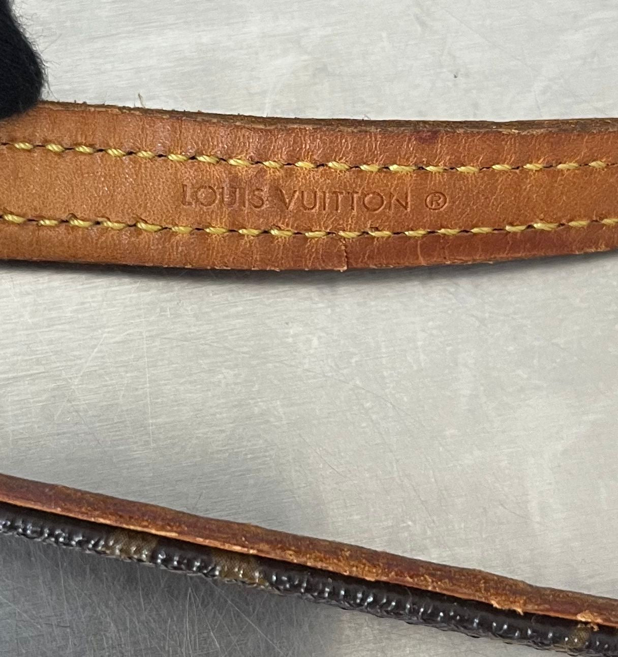 Louis Vuitton Baxter MM Leine mit Halsband