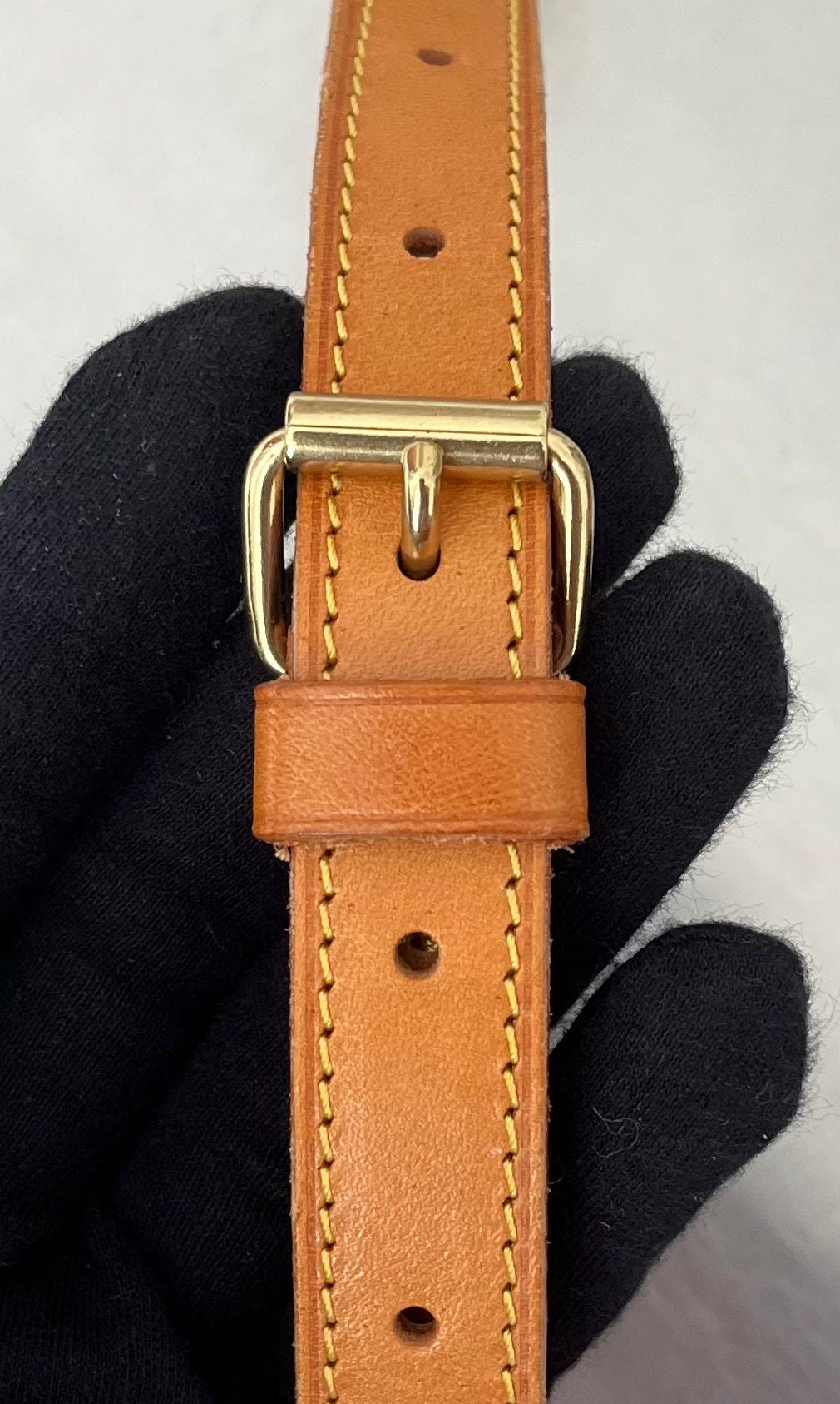 Louis Vuitton Gibeciere MM Monogramm
