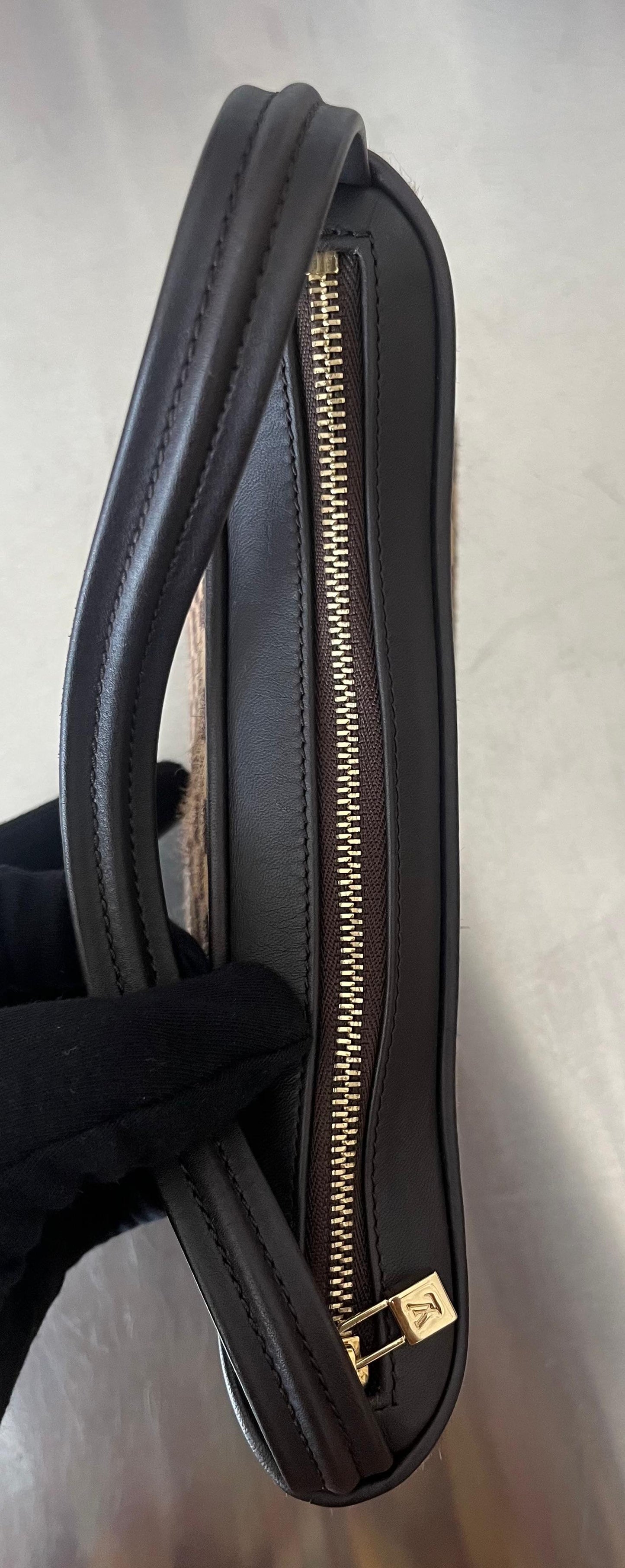 Louis Vuitton Damier Sauvage Tiger