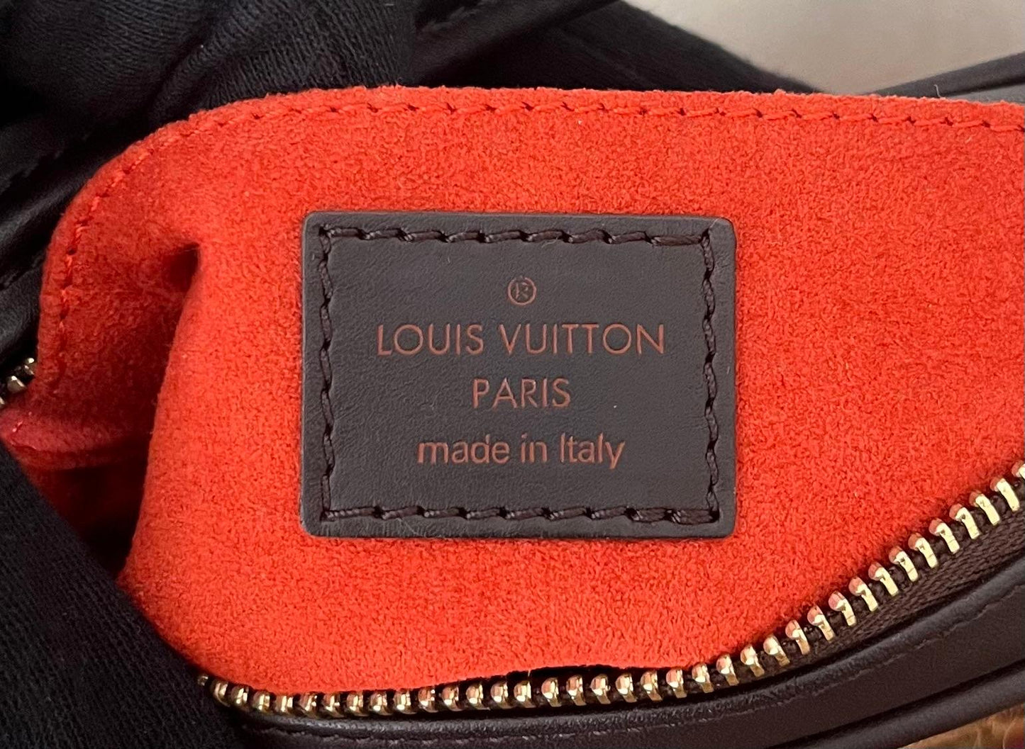 Louis Vuitton Damier Sauvage Tiger
