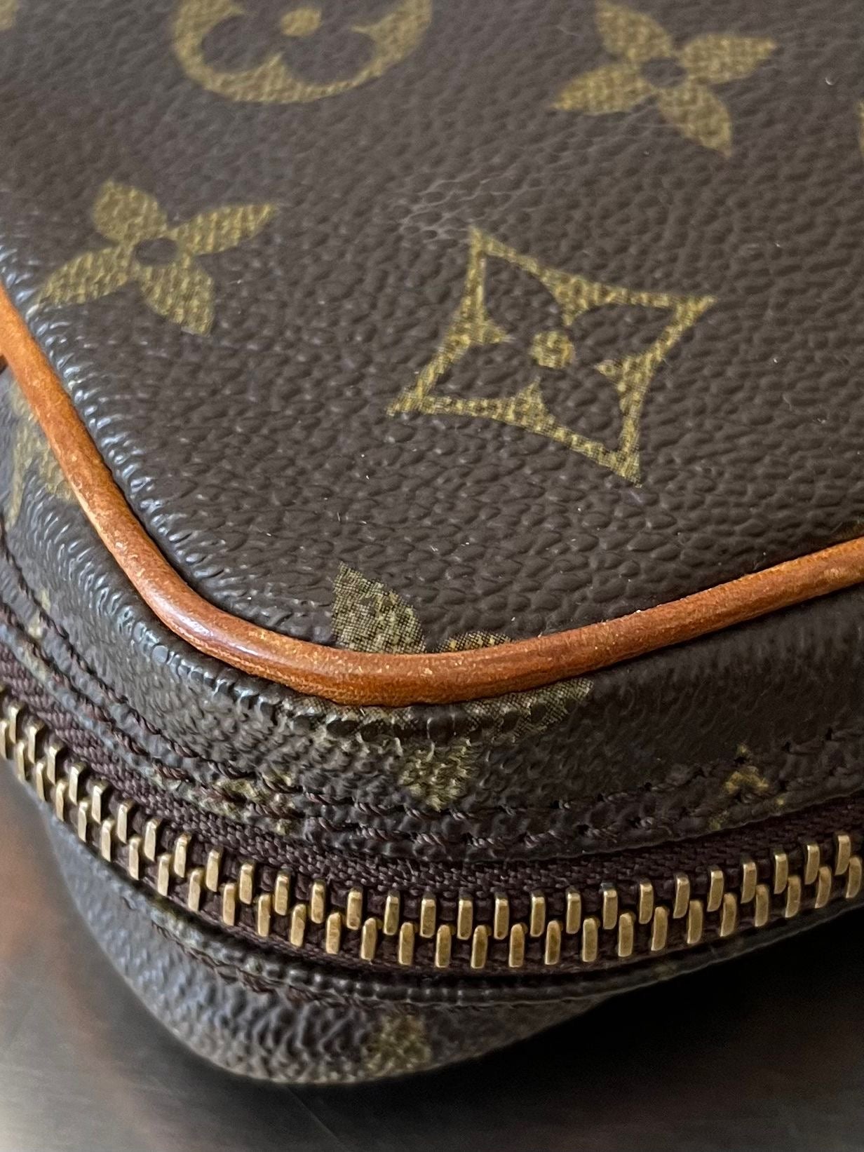 Louis Vuitton Marly Dragonne PM
