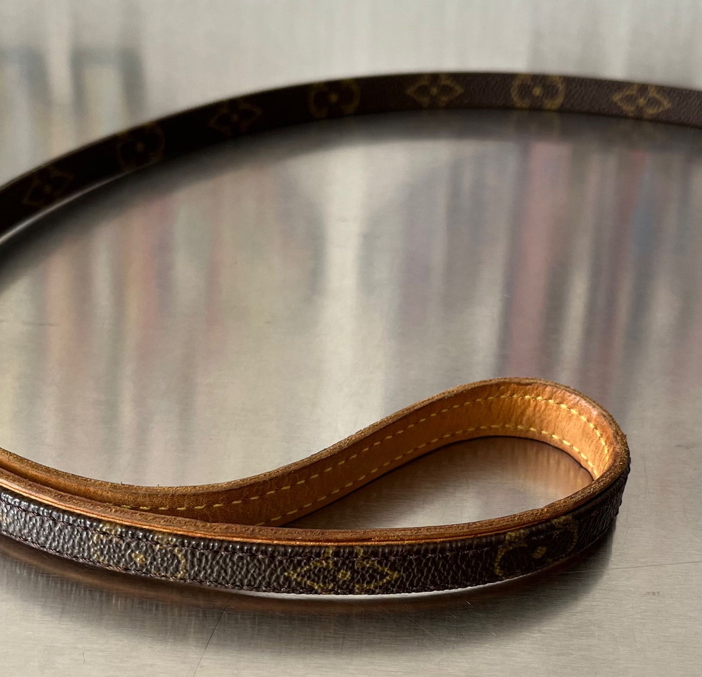 Louis Vuitton Baxter MM Leine