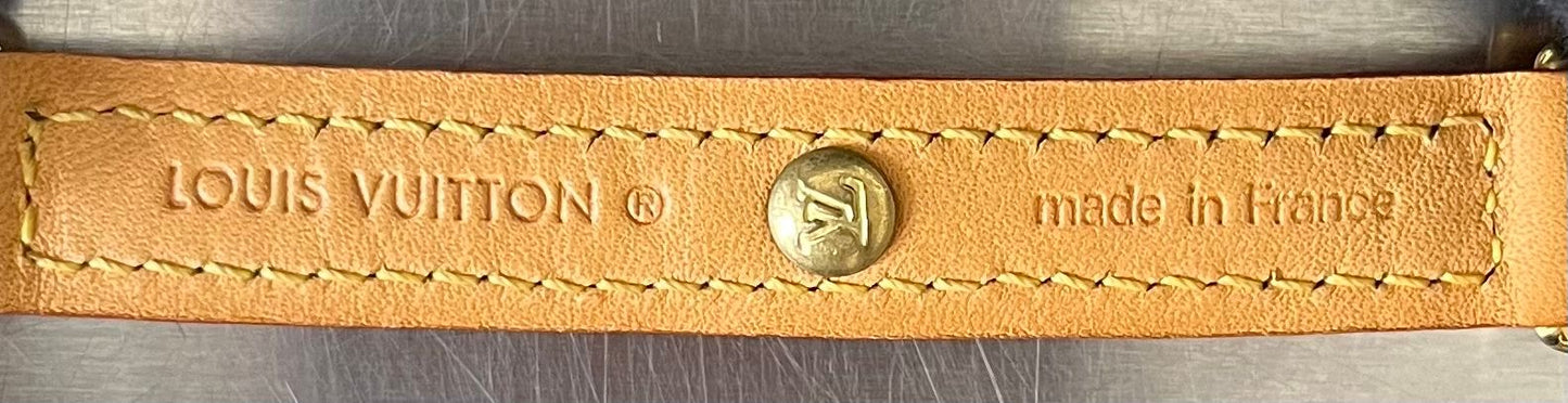 Louis Vuitton Baxter MM Leine mit Halsband