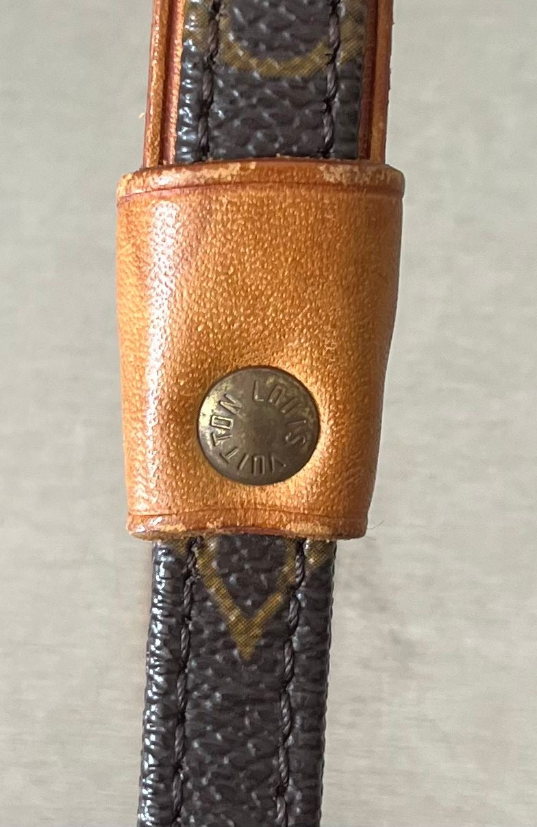 Louis Vuitton Baxter MM Leine mit Halsband