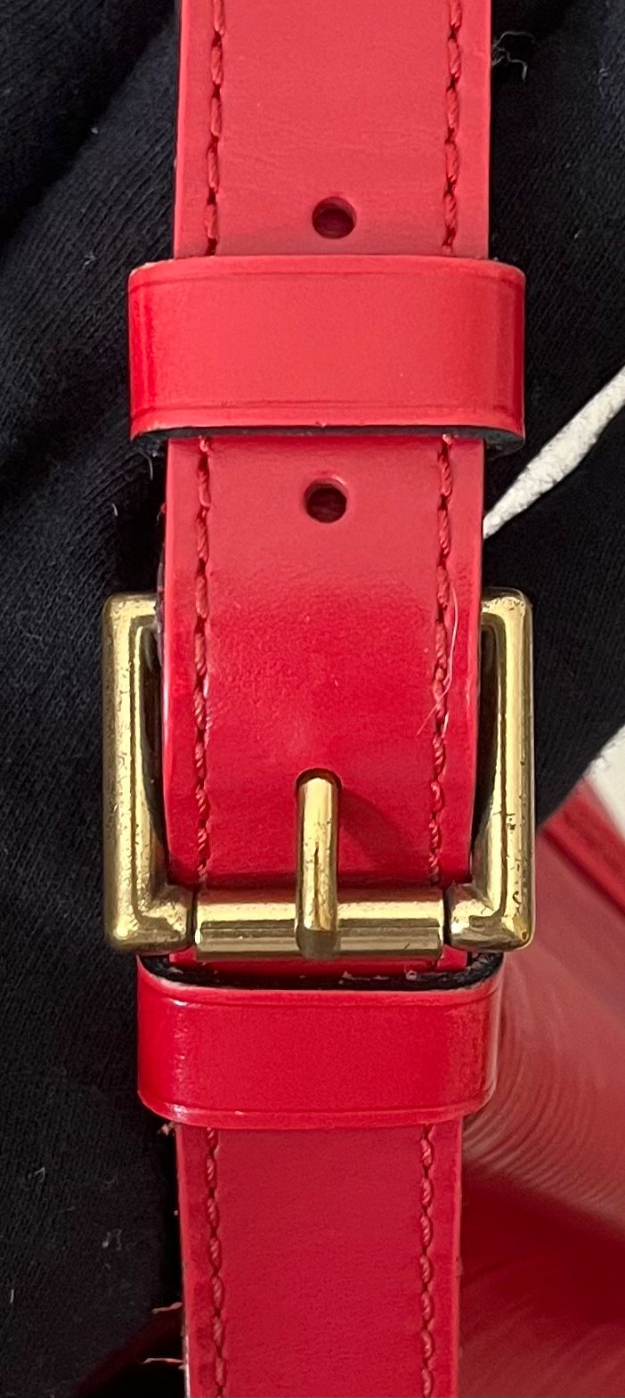 Louis Vuitton Sac Noé Petit EPI