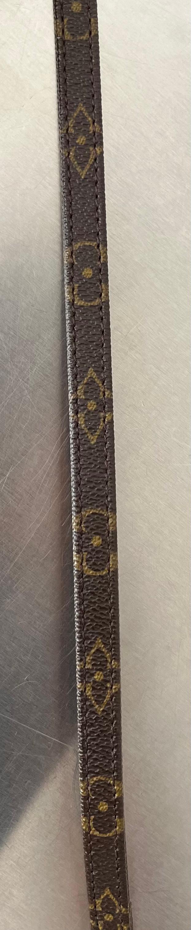 Louis Vuitton Baxter MM Leine