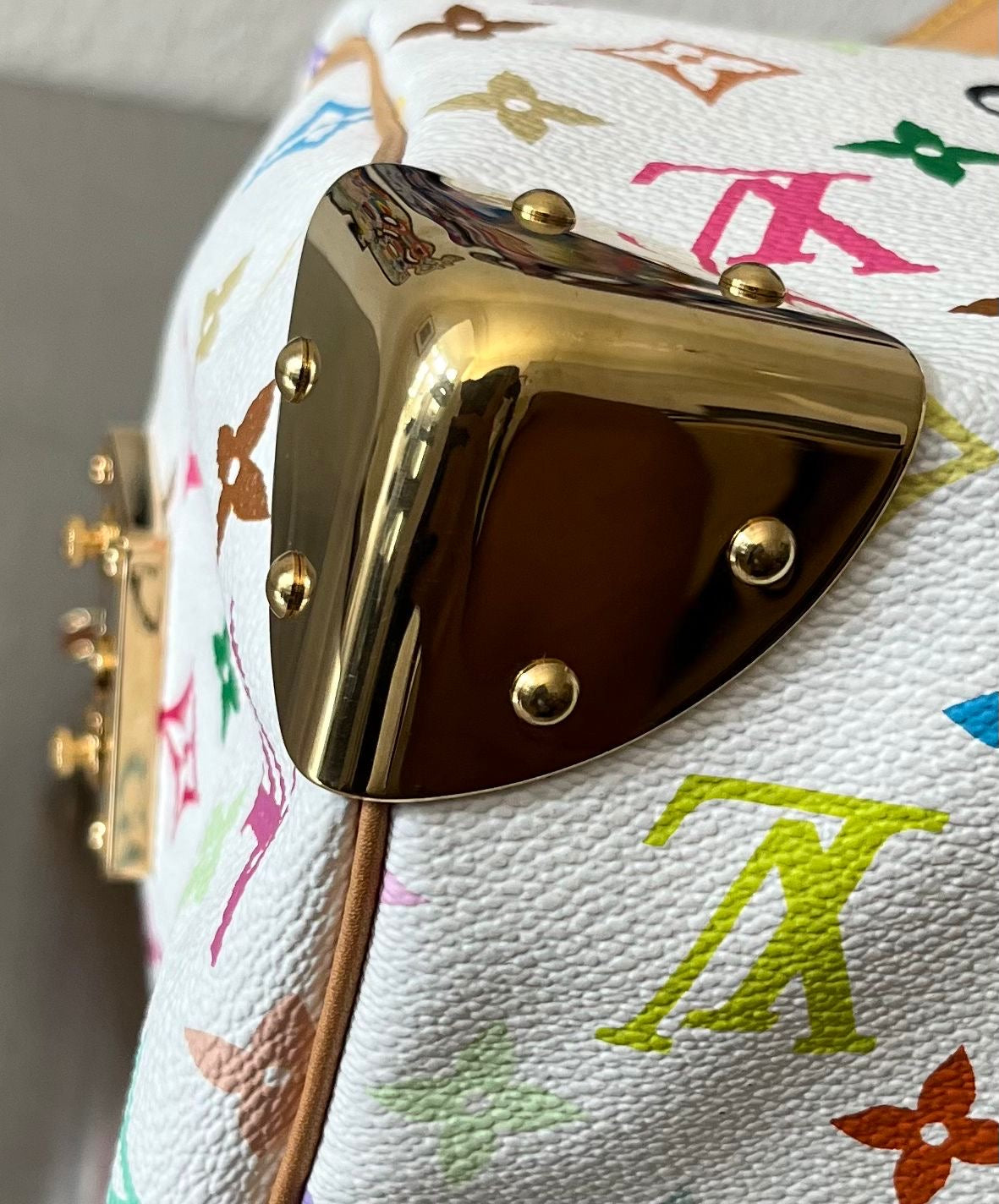 Louis Vuitton Speedy 30 Multicolor x Takashi Murakami