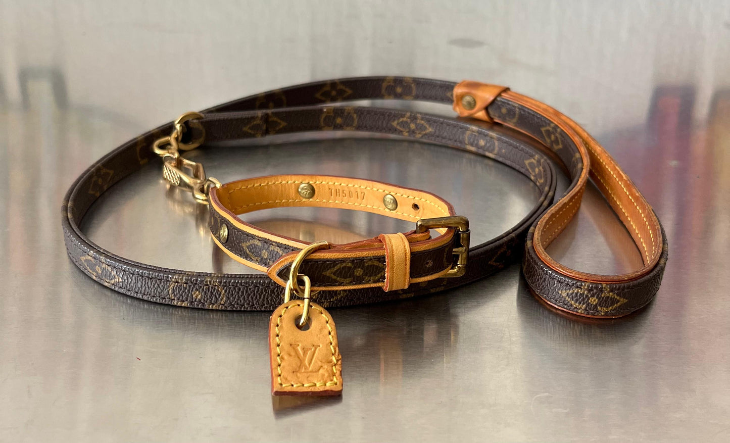 Louis Vuitton Baxter MM Leine mit Halsband