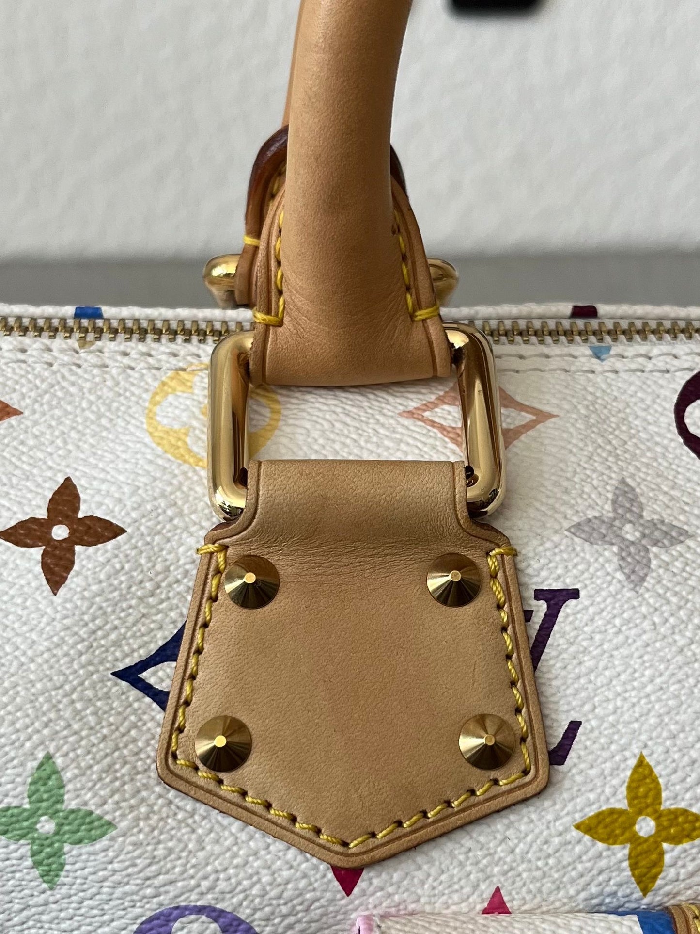 Louis Vuitton Speedy 30 Multicolor x Takashi Murakami