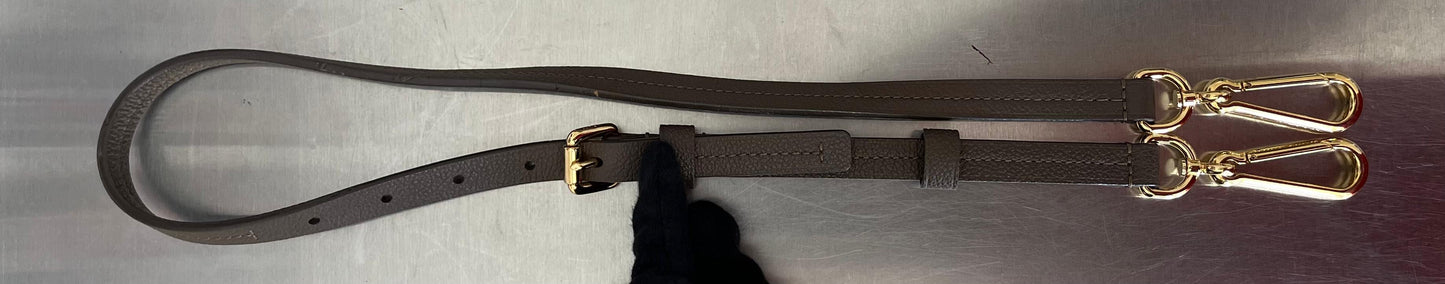 Louis Vuitton Audacieuse PM