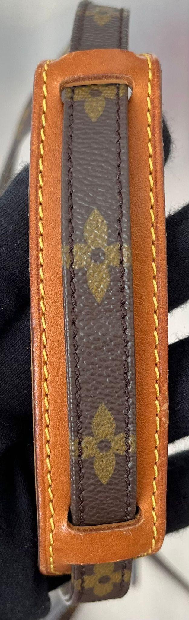 Louis Vuitton Mini Danube Monogramm