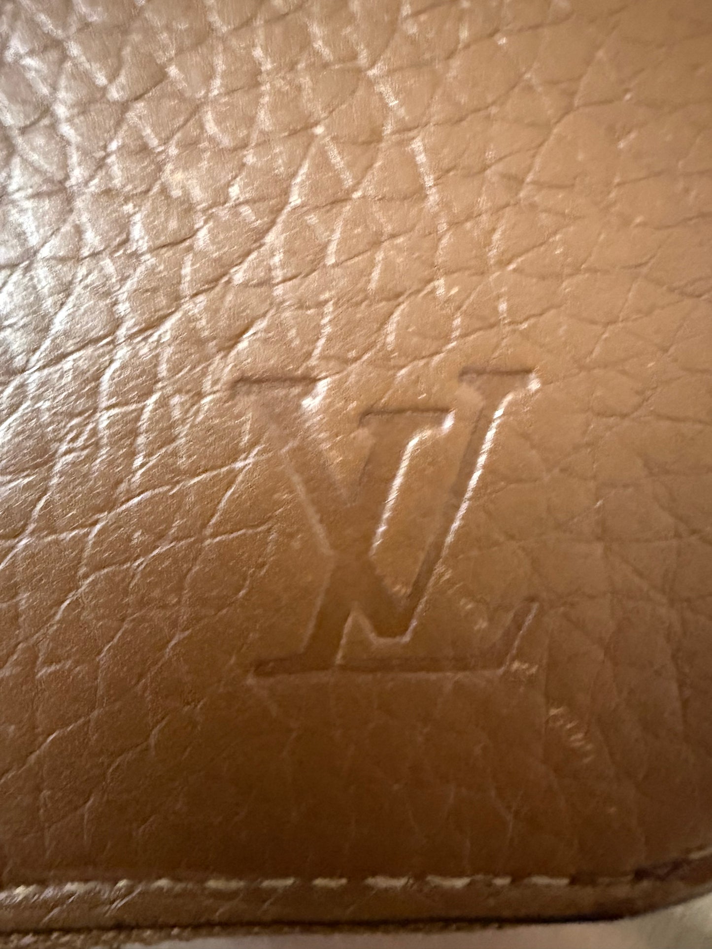 Louis Vuitton Zippy Vertical Taurillon Leder