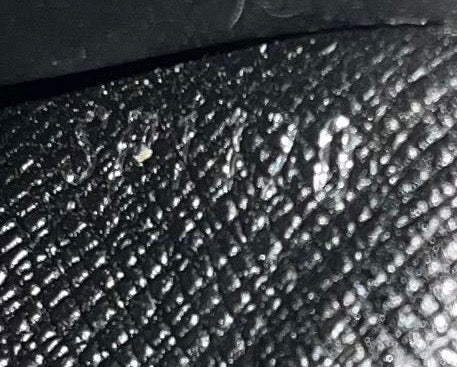 Louis Vuitton Brazza Taiga