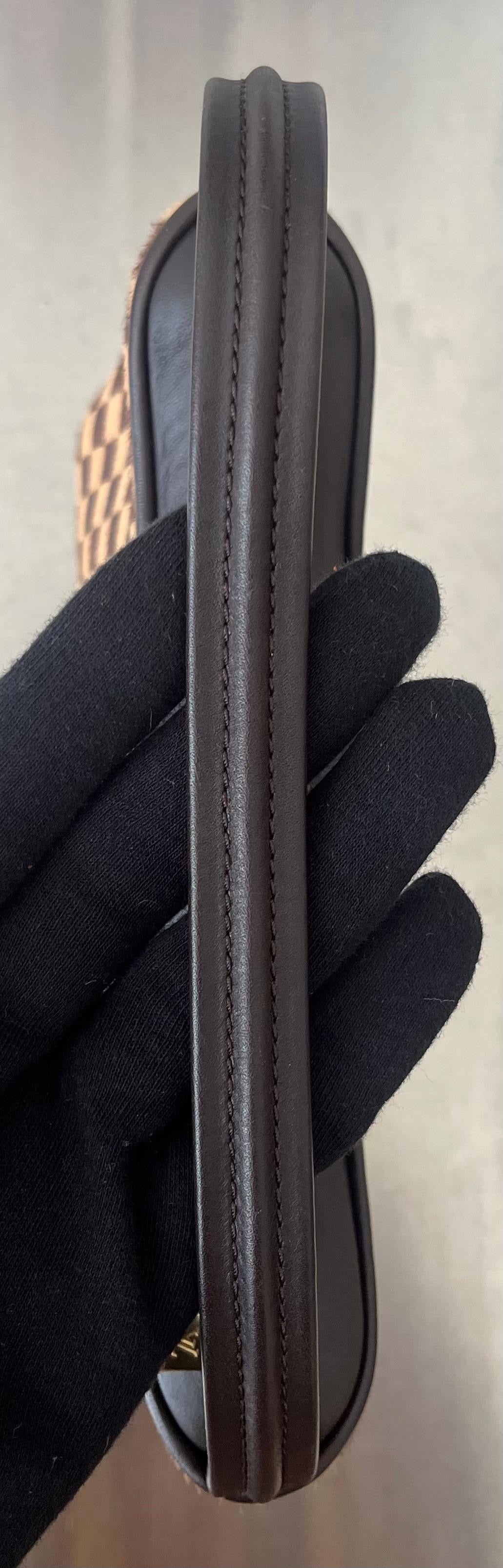 Louis Vuitton Damier Sauvage Tiger
