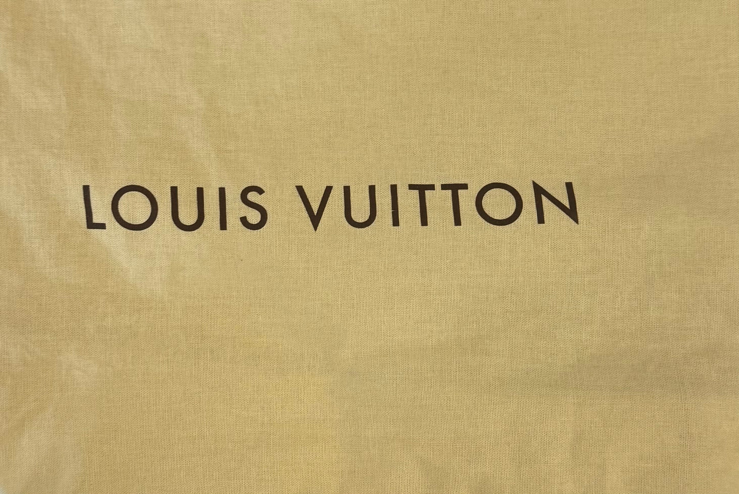 Louis Vuitton Cluny BB Epi