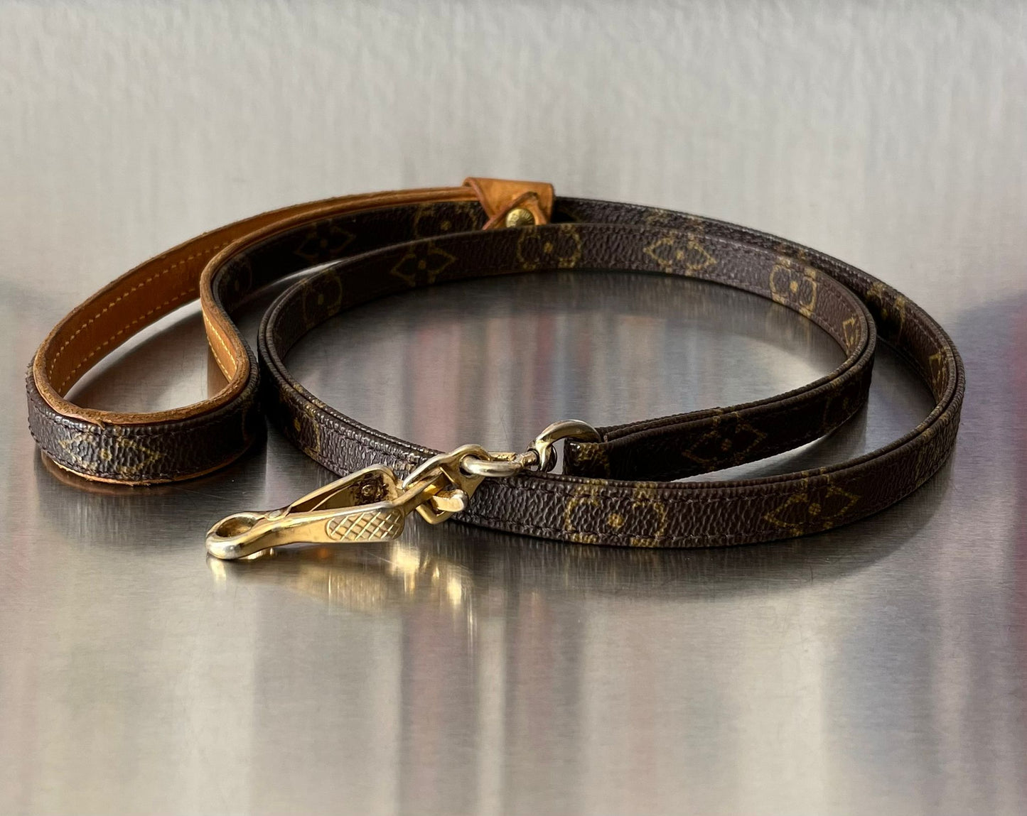 Louis Vuitton Baxter MM Leine