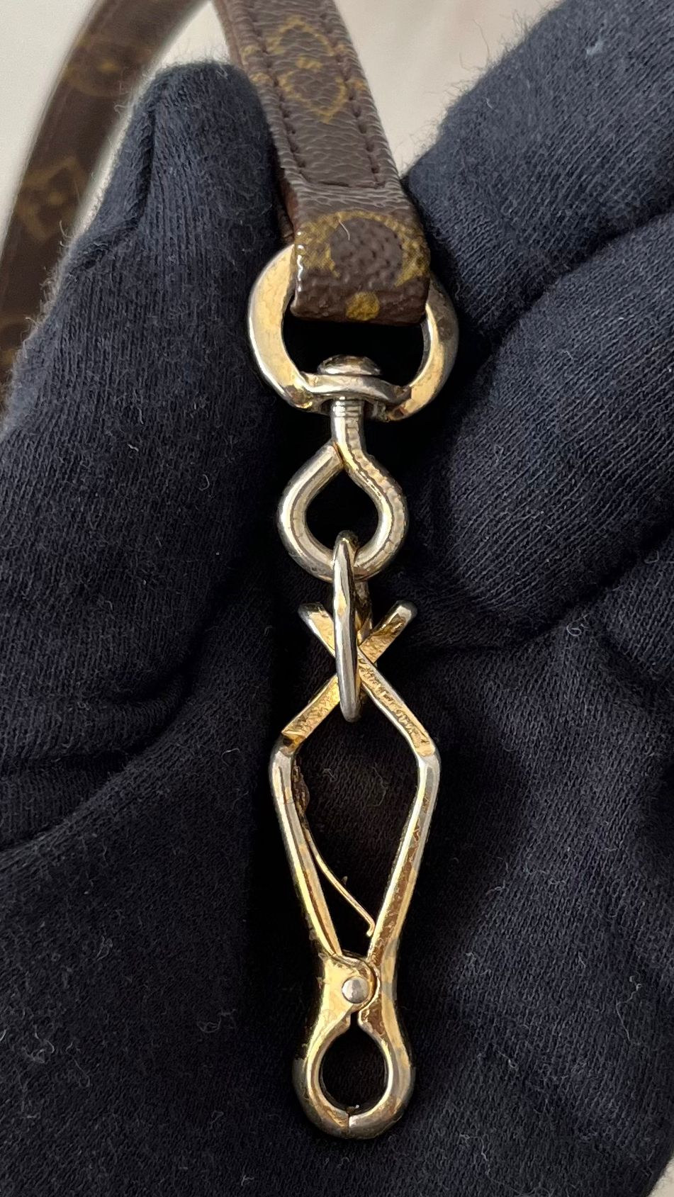 Louis Vuitton Baxter MM Leine