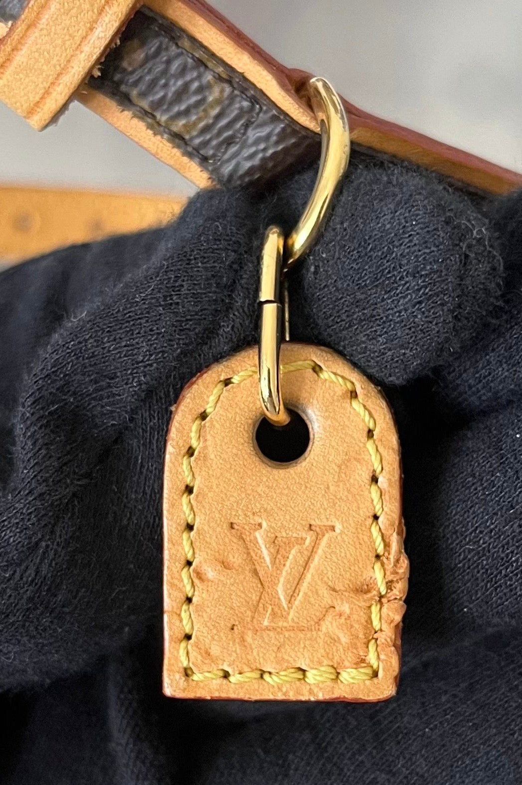 Louis Vuitton Baxter MM Leine mit Halsband