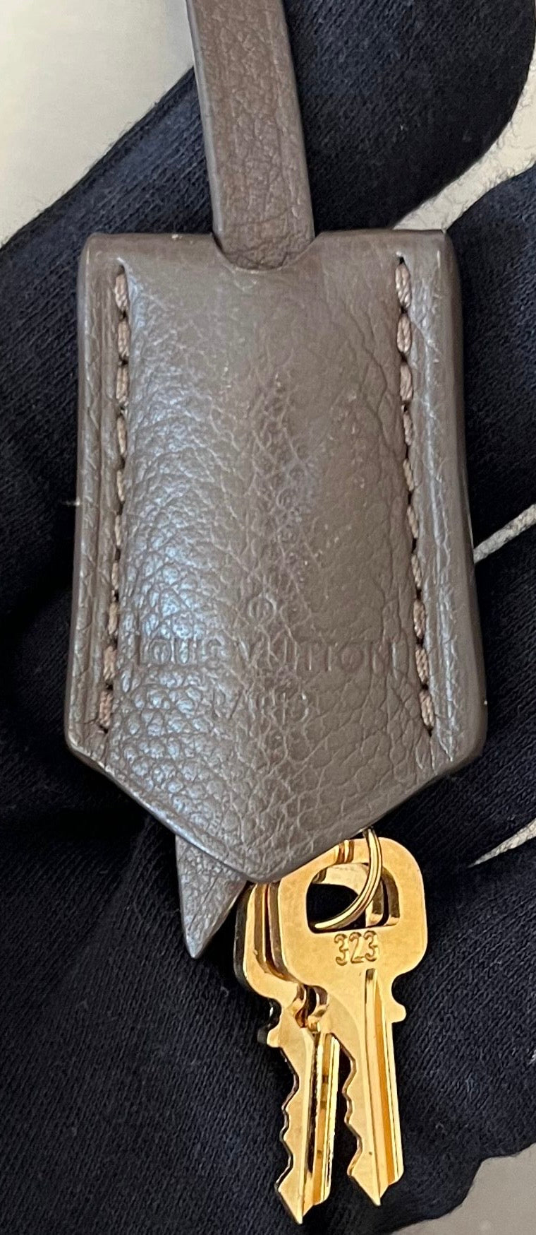 Louis Vuitton Audacieuse PM