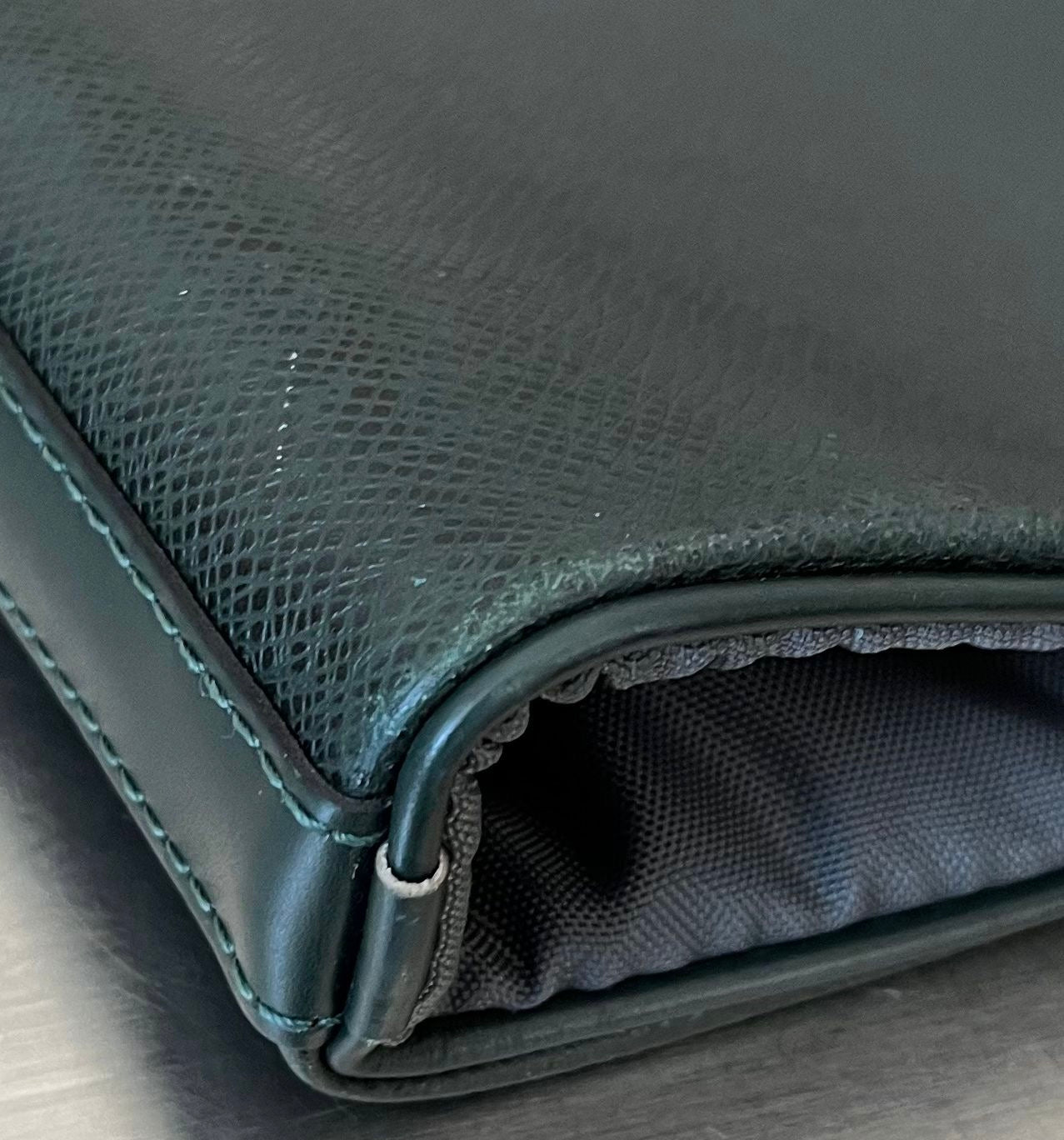 Louis Vuitton Taiga Bering Kleiderhülle