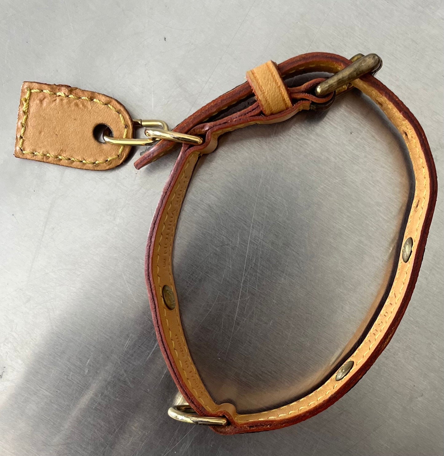 Louis Vuitton Baxter MM Leine mit Halsband