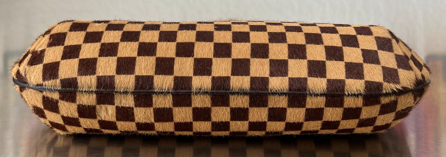 Louis Vuitton Damier Sauvage Tiger
