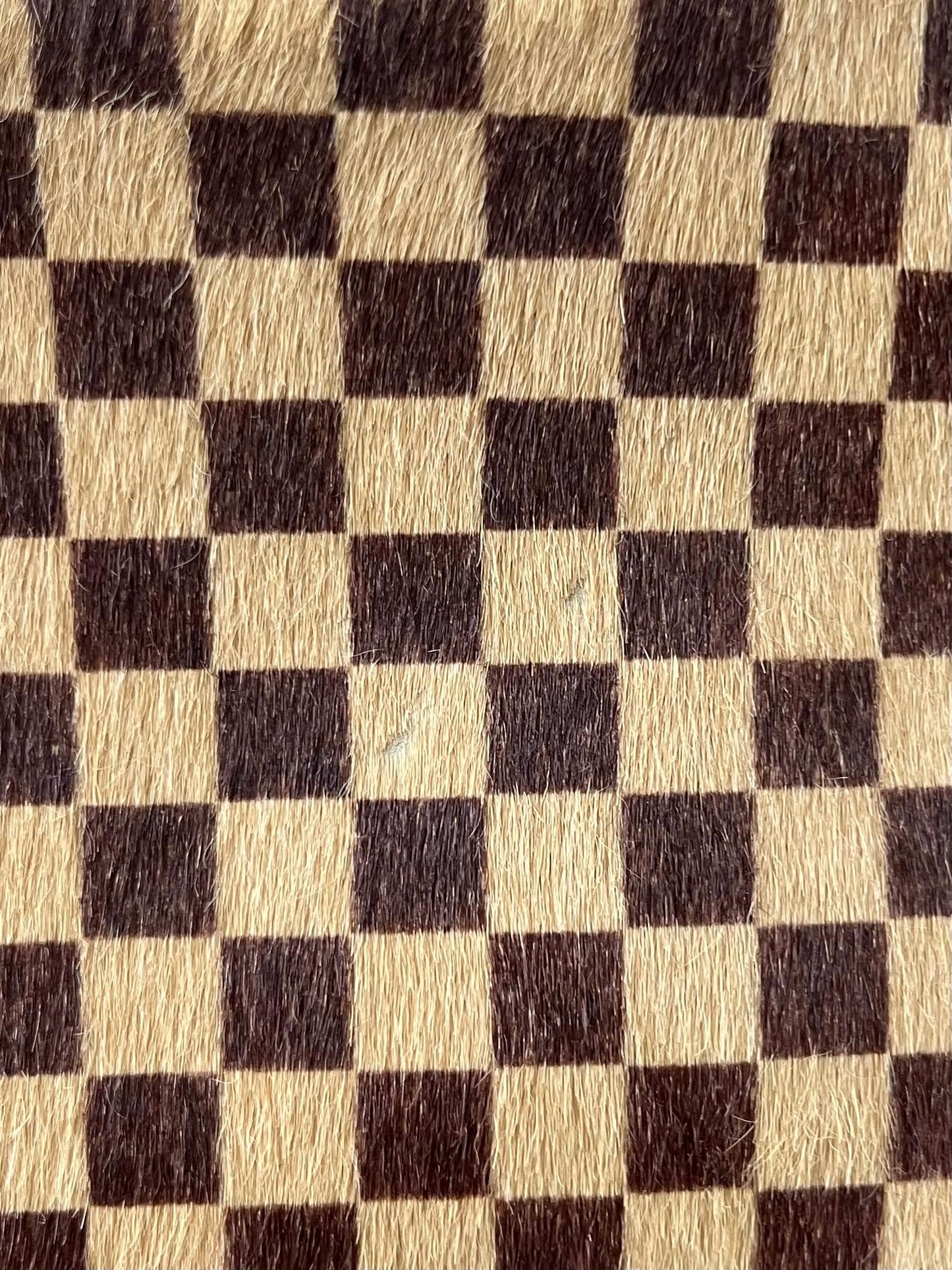 Louis Vuitton Damier Sauvage Tiger