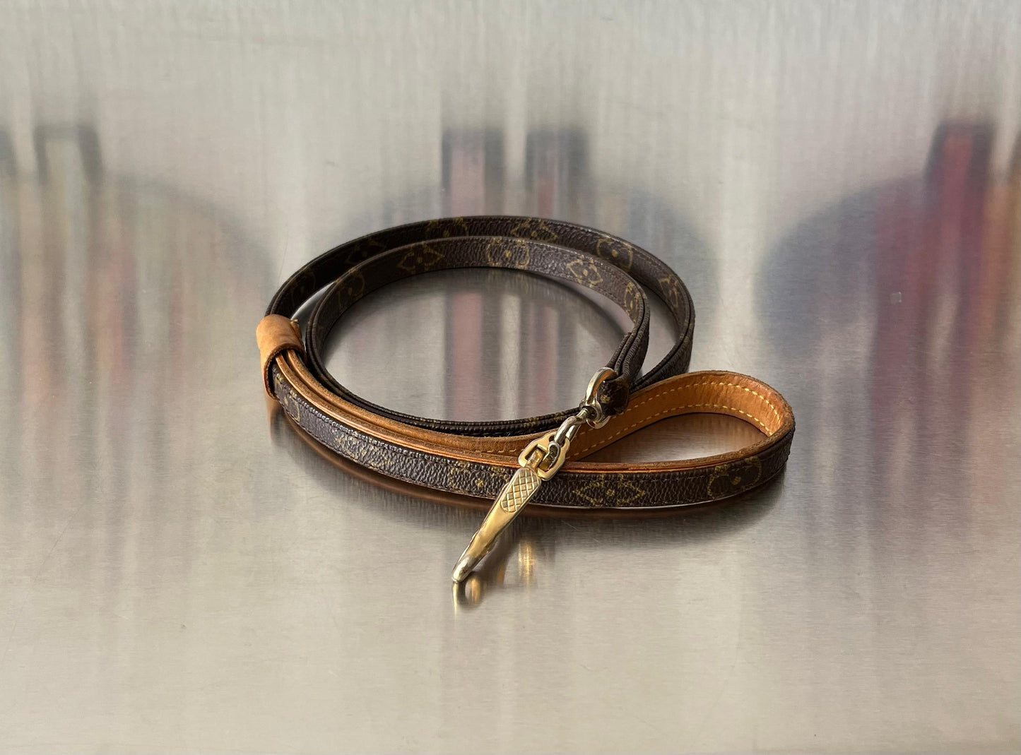 Louis Vuitton Baxter MM Leine