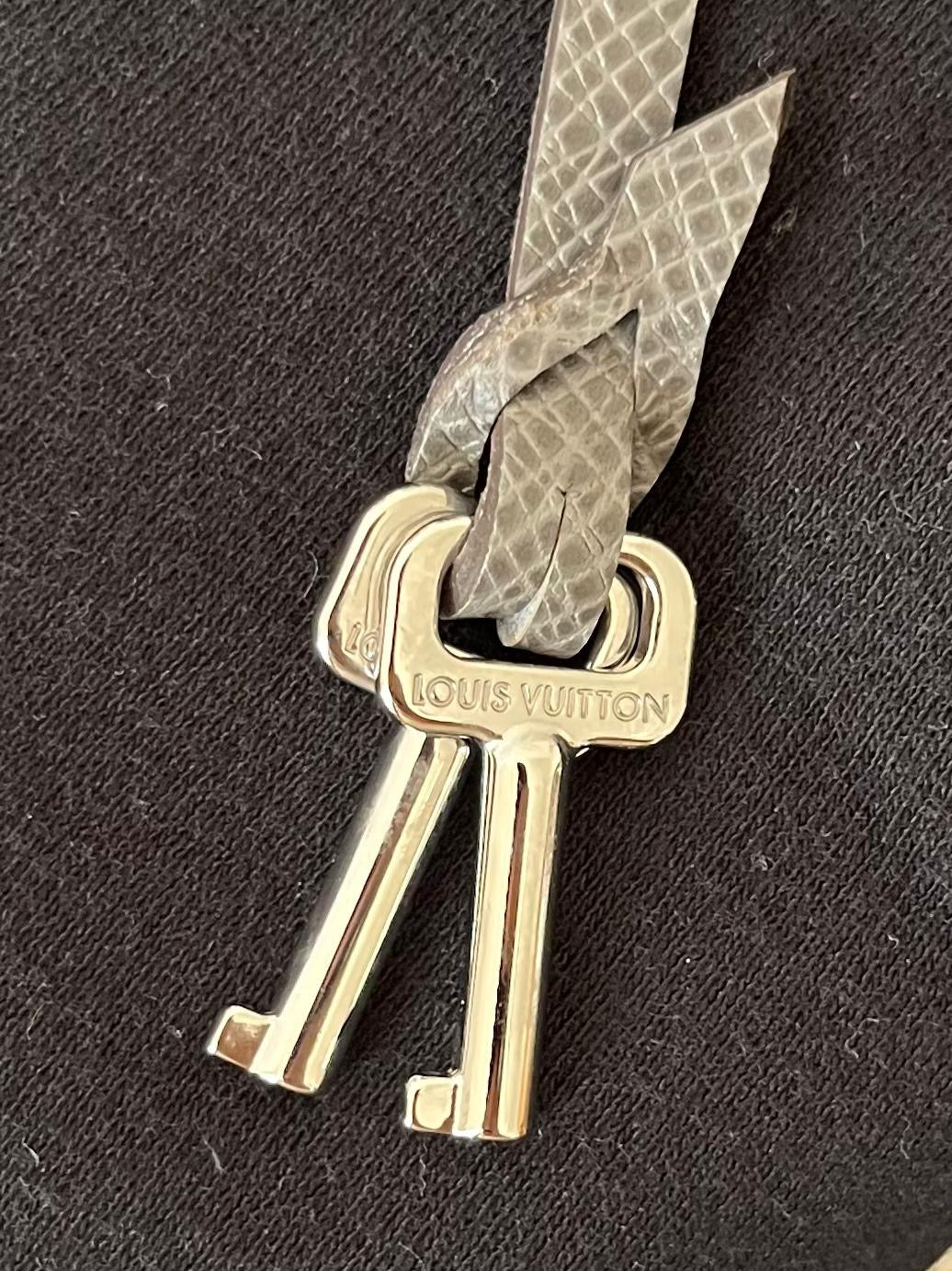Louis Vuitton Neo Bellaia Taiga Leder