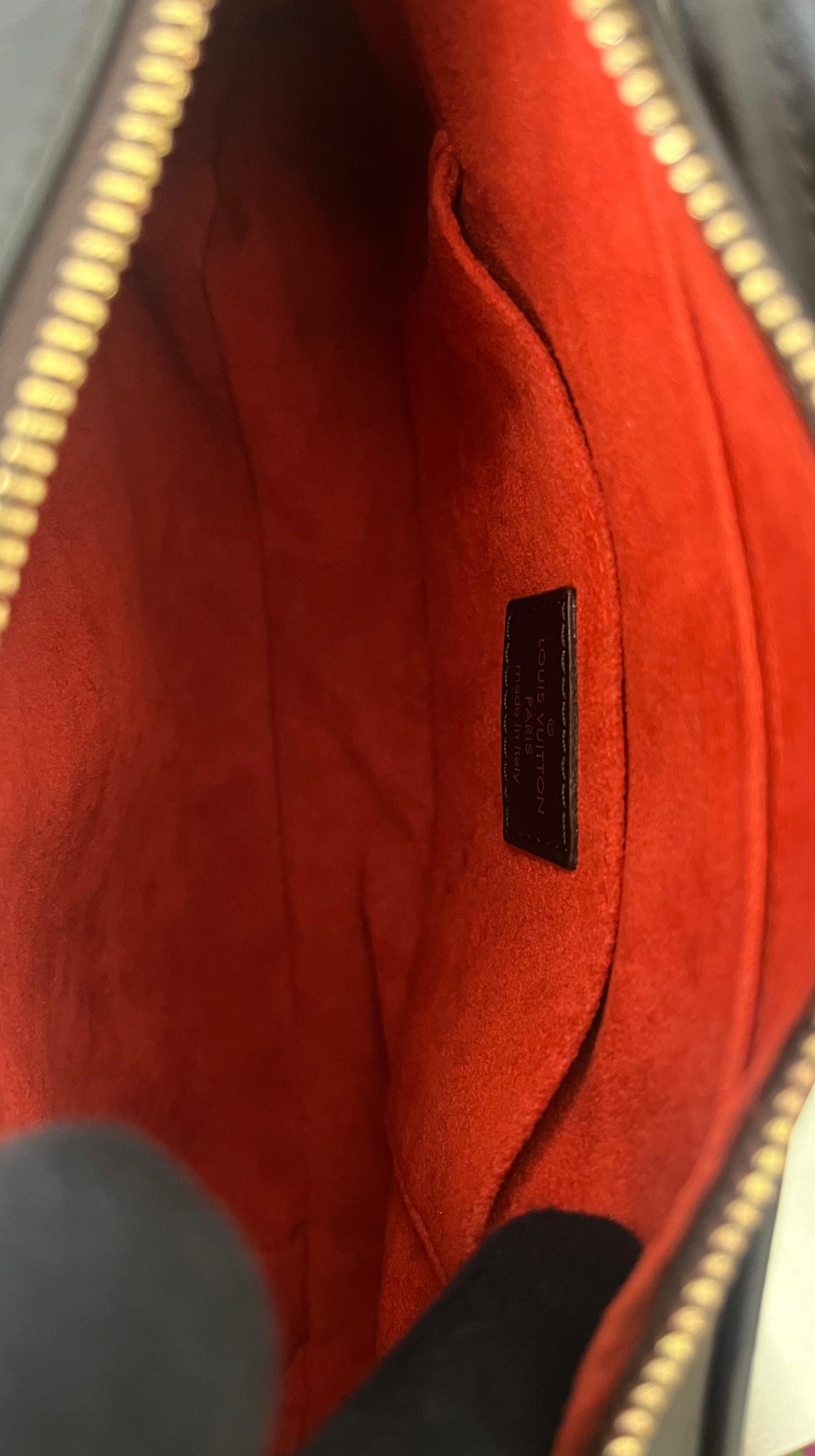 Louis Vuitton Damier Sauvage Tiger
