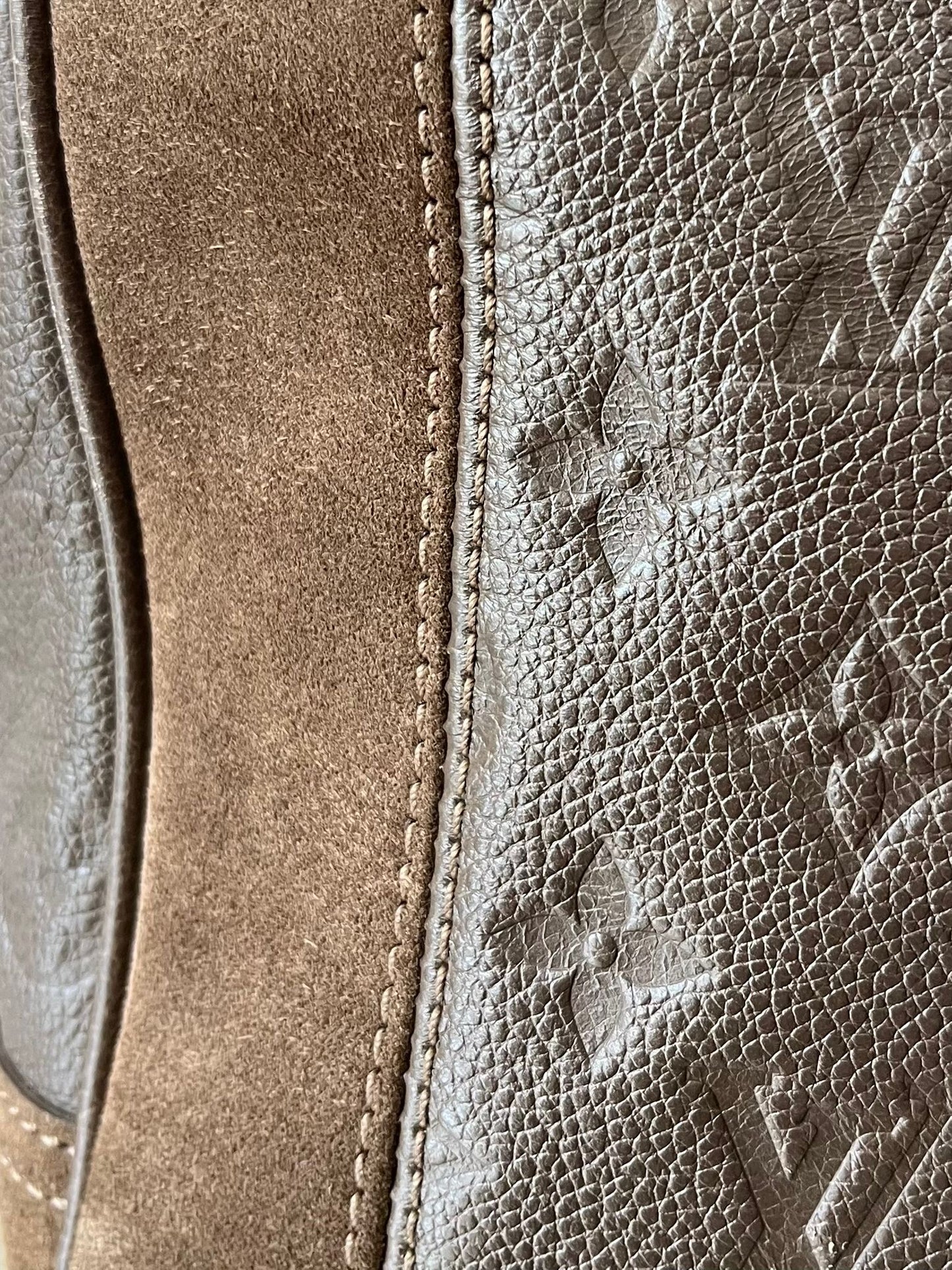 Louis Vuitton Audacieuse PM