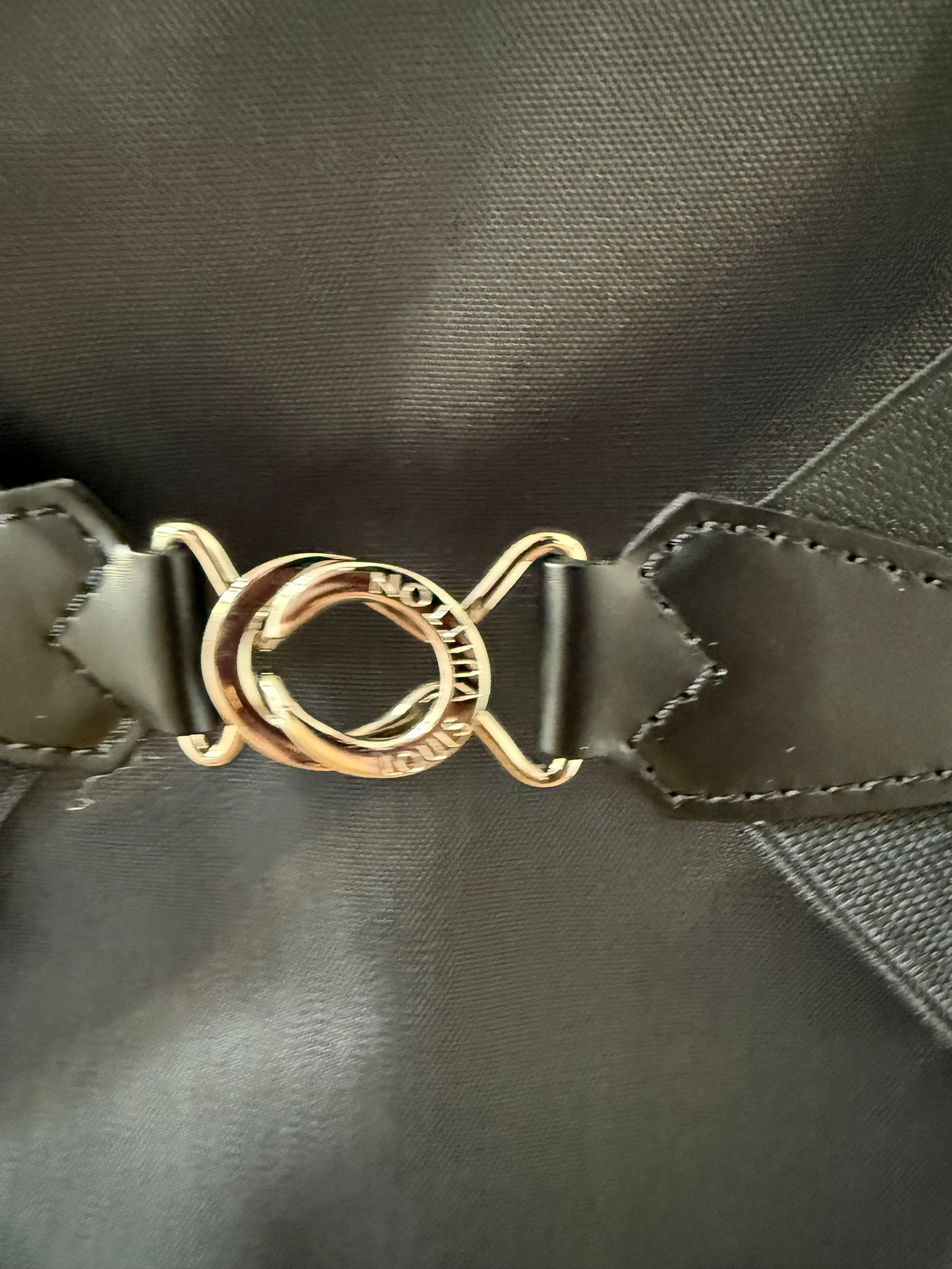 Louis Vuitton Cinq Cintre Kleidersack