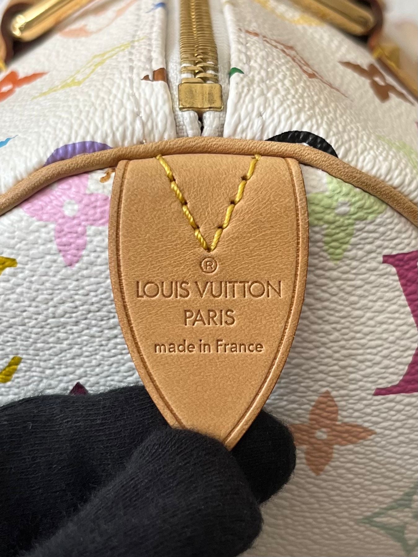 Louis Vuitton Speedy 30 Multicolor x Takashi Murakami