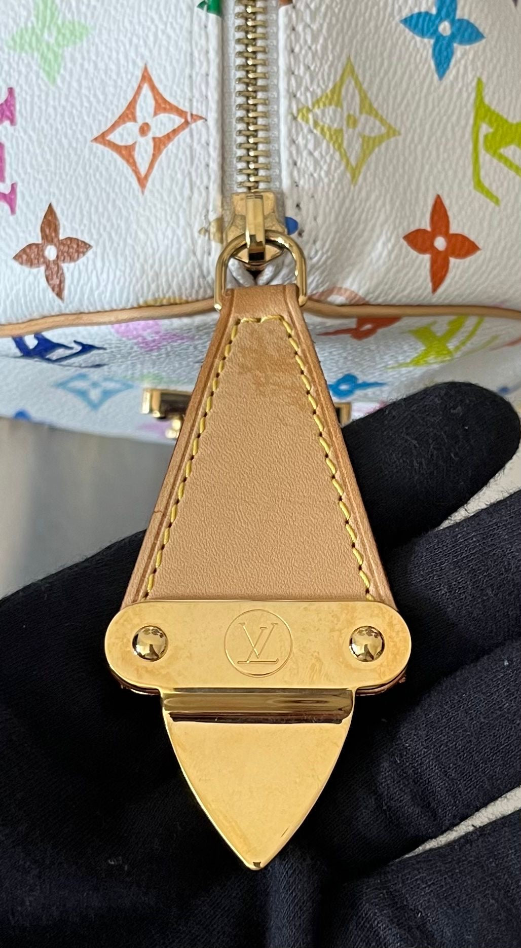 Louis Vuitton Speedy 30 Multicolor x Takashi Murakami