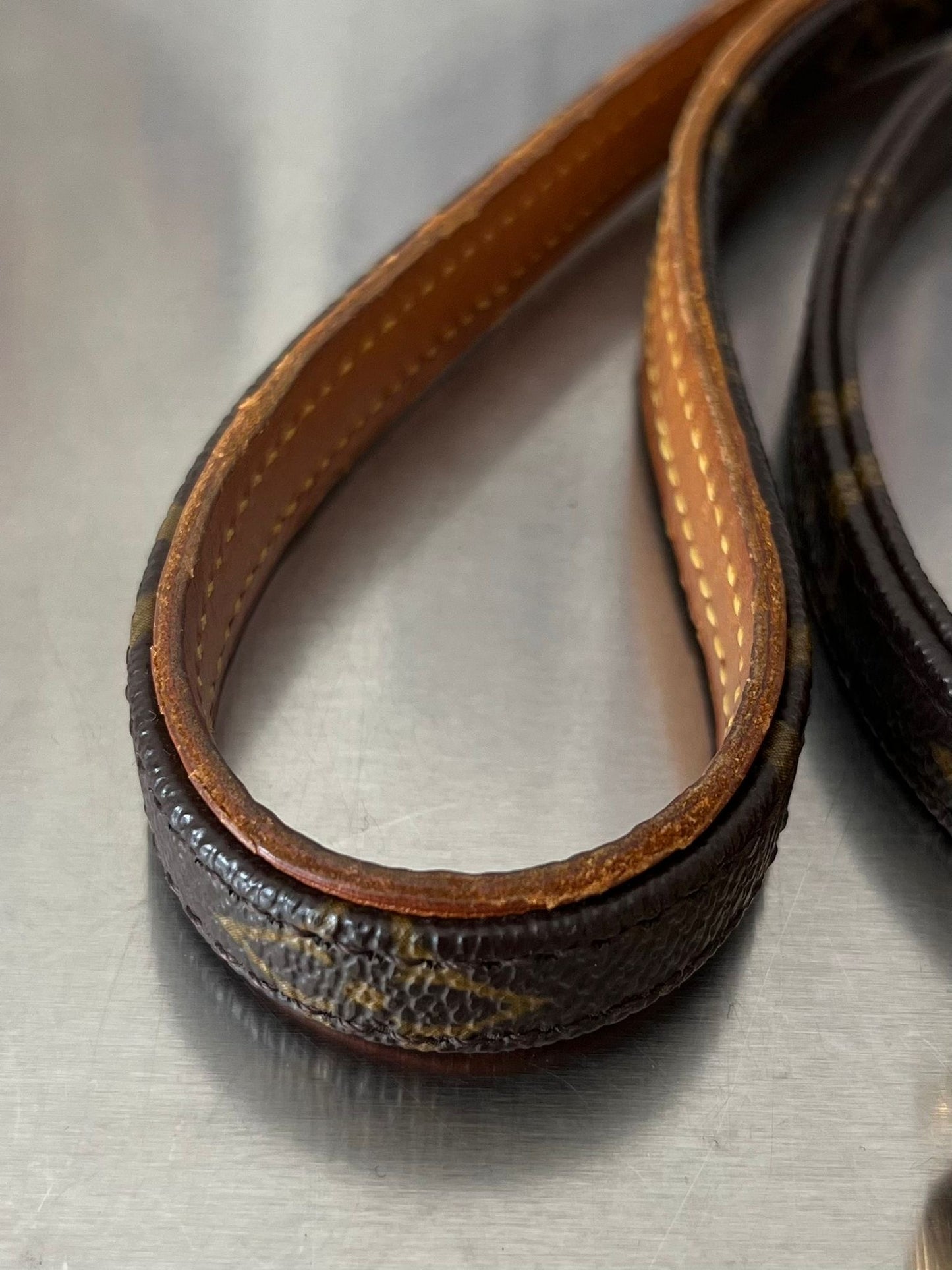 Louis Vuitton Baxter MM Leine mit Halsband
