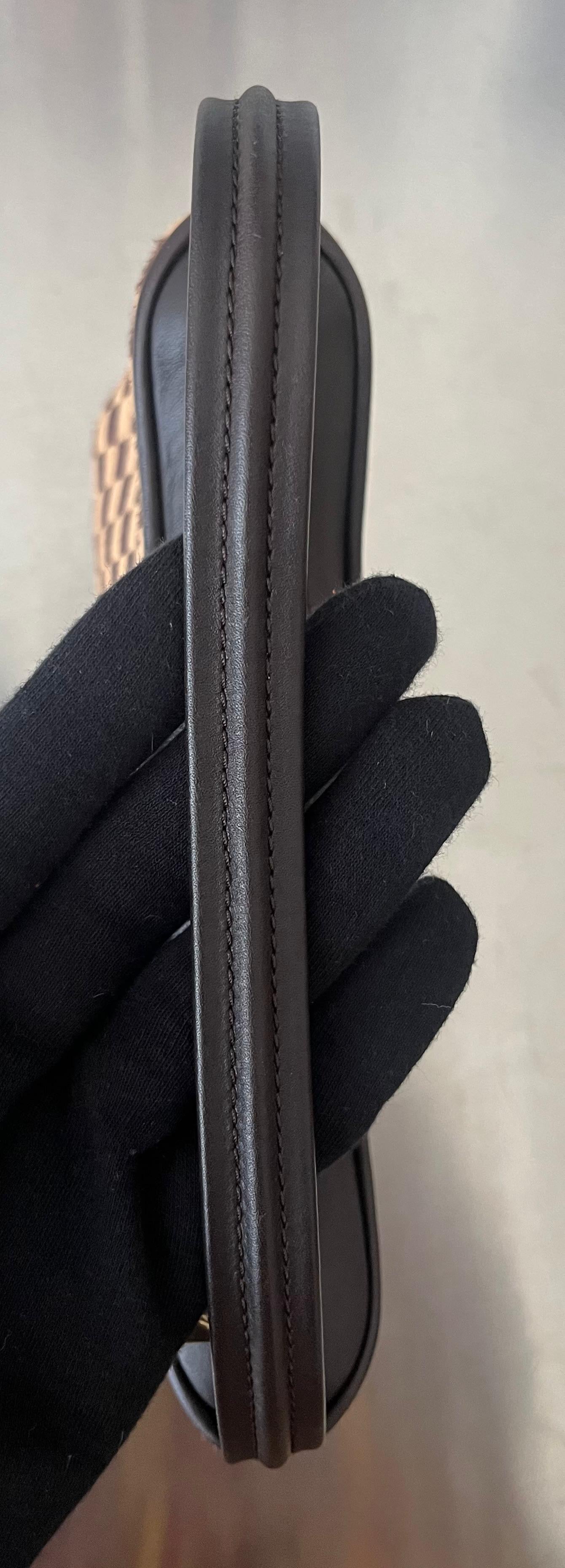 Louis Vuitton Damier Sauvage Tiger