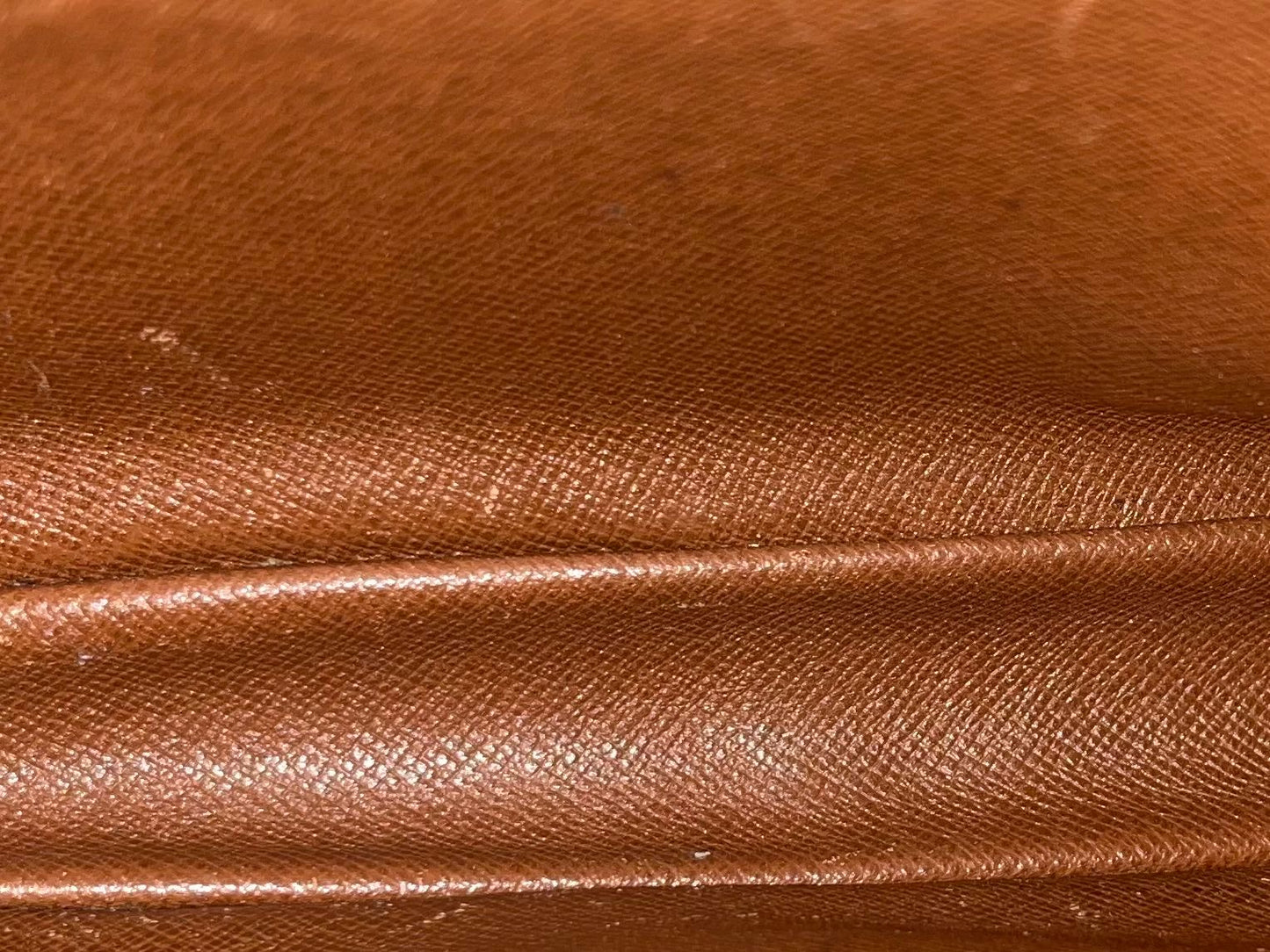 Louis Vuitton Marly Dragonne PM