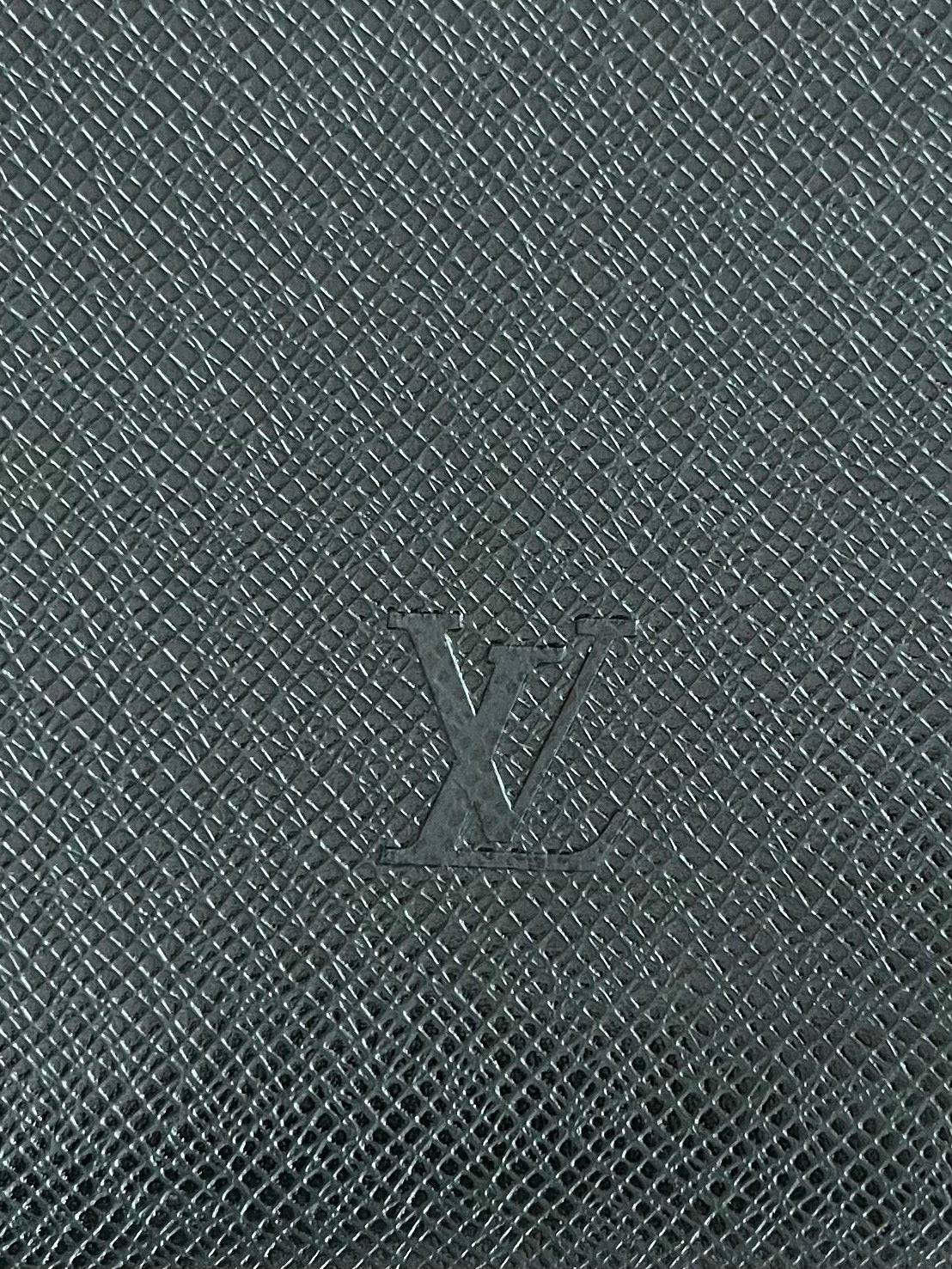 Louis Vuitton Taiga Bering Kleiderhülle