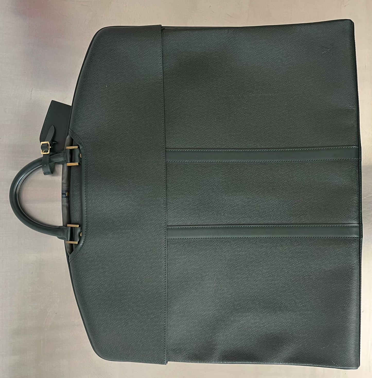 Louis Vuitton Taiga Bering Kleiderhülle