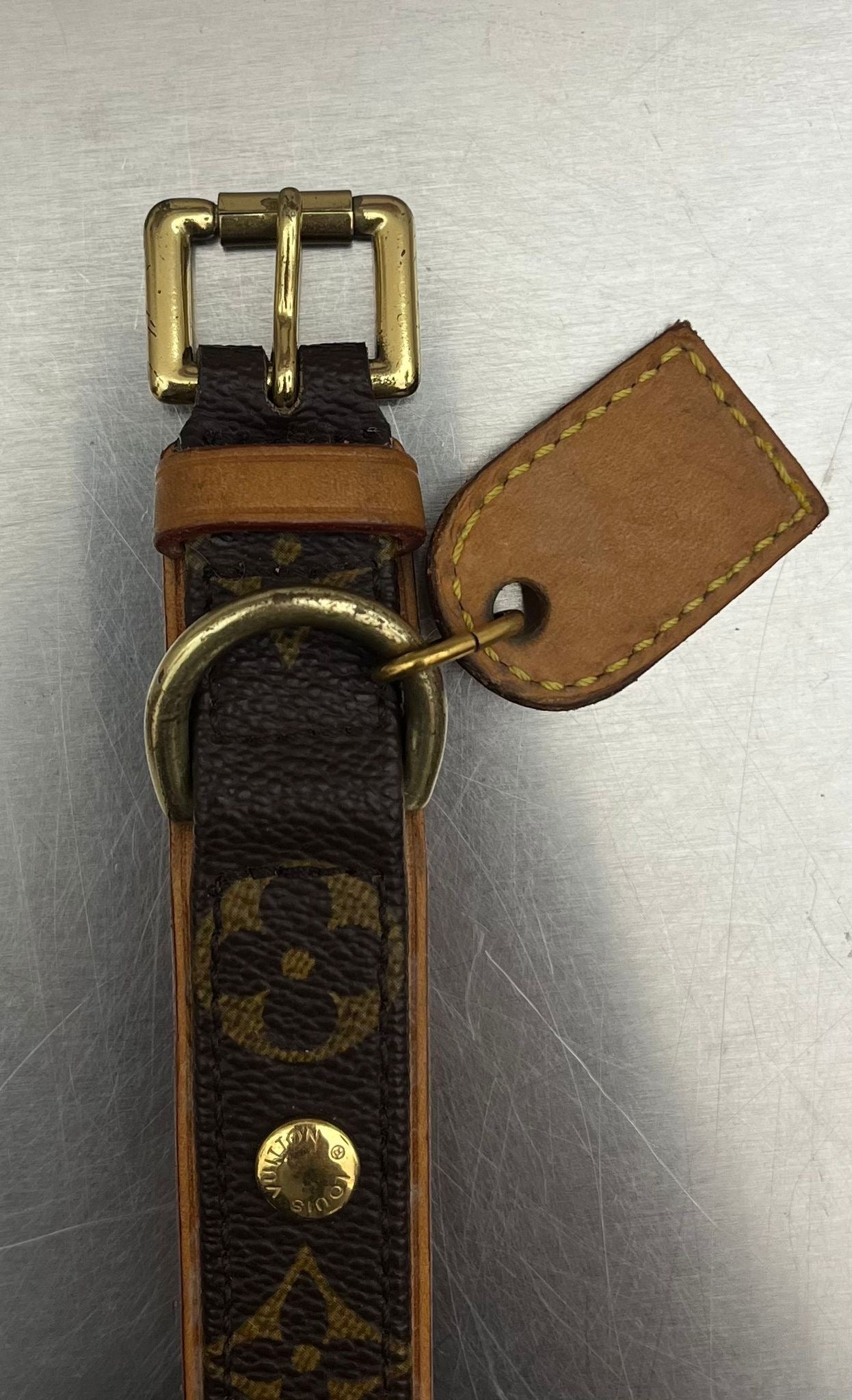 Louis Vuitton Baxter PM Leine mit Halsband