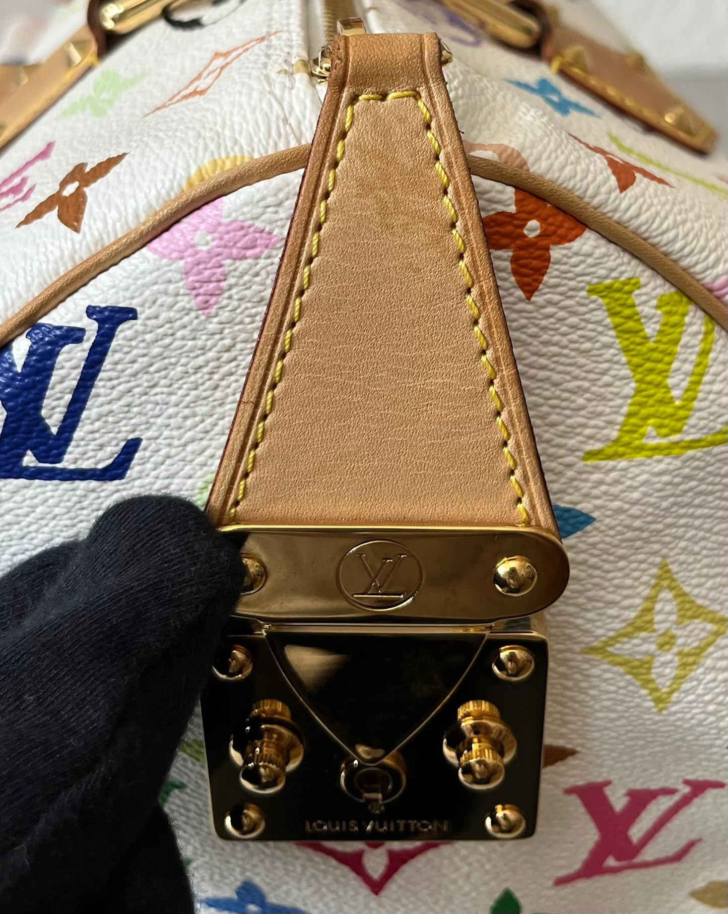 Louis Vuitton Speedy 30 Multicolor x Takashi Murakami