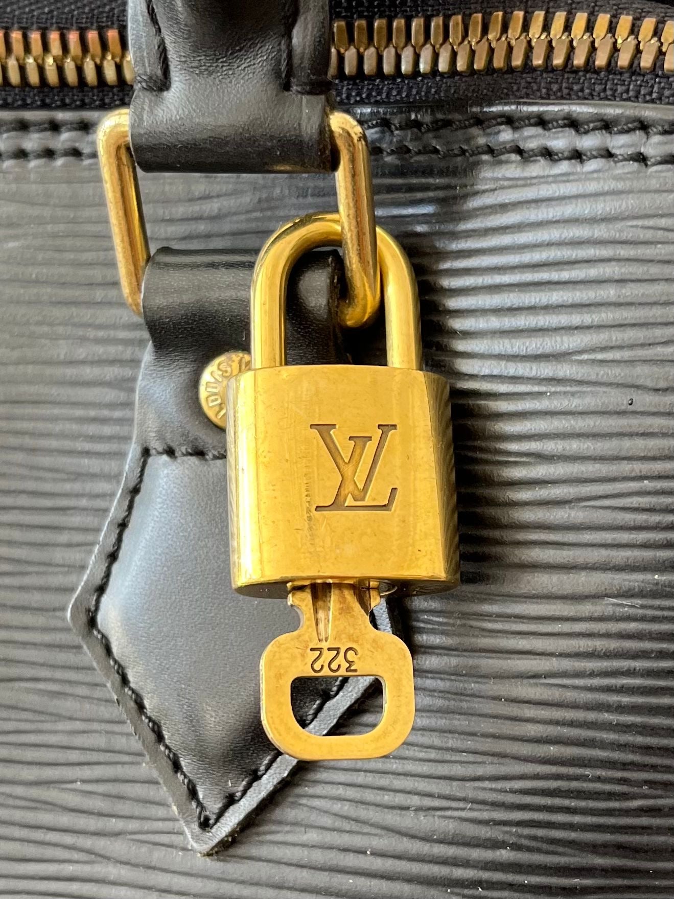 Louis Vuitton Alma PM Epi