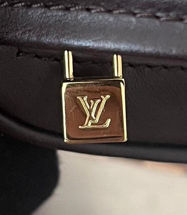 Louis Vuitton Damier Sauvage Tiger