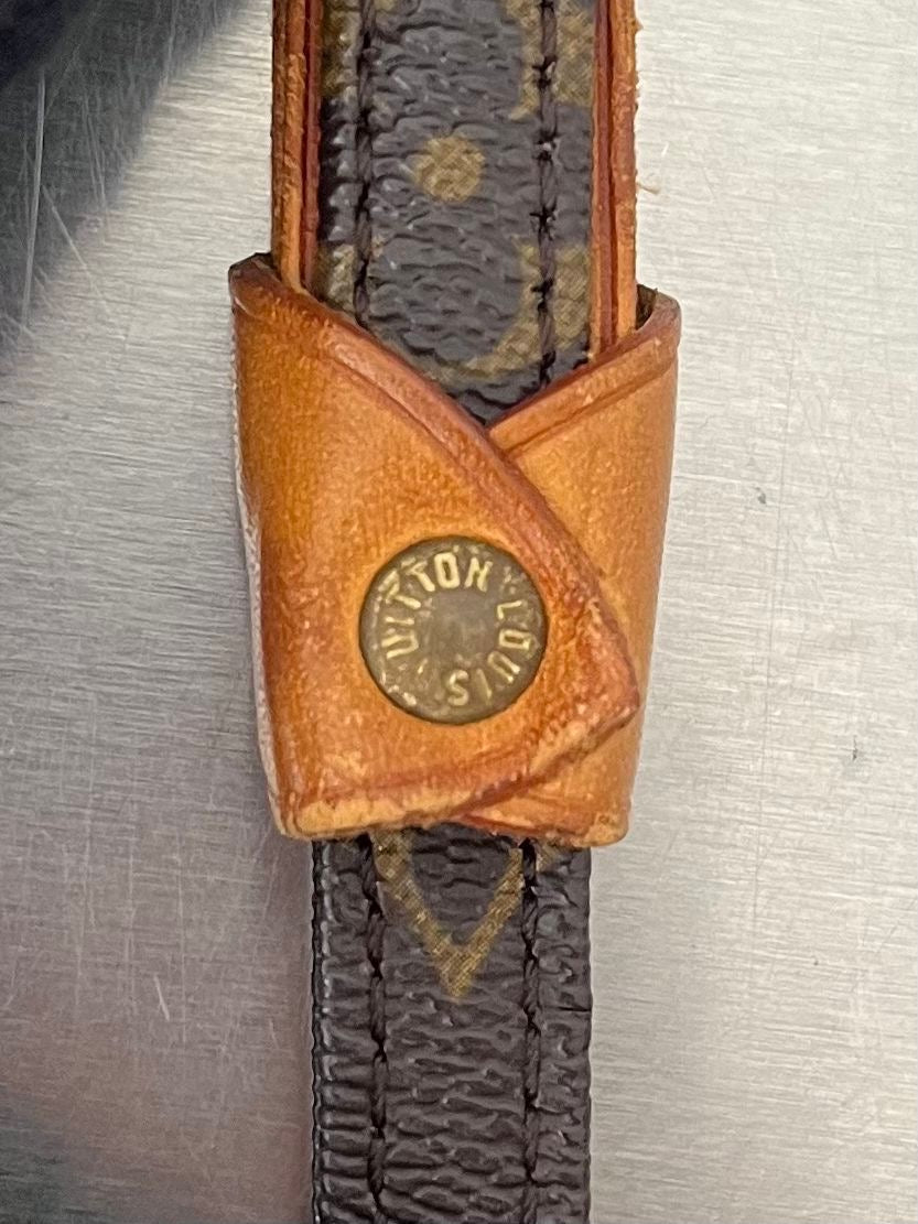 Louis Vuitton Baxter MM Leine mit Halsband
